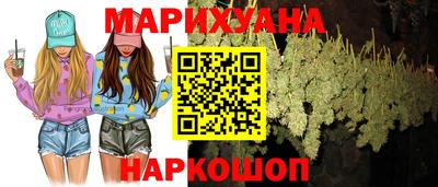 МДПВ Можга