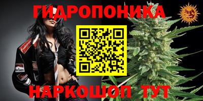 прущие грибы Моздок