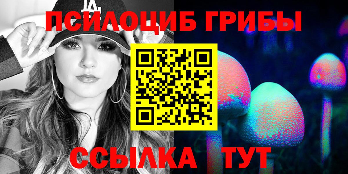 Галлюциногенные грибы Psilocybine cubensis Владимир