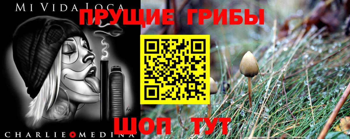 Галлюциногенные грибы мицелий  купить наркотики цена  Владимир  Вход с VPN 